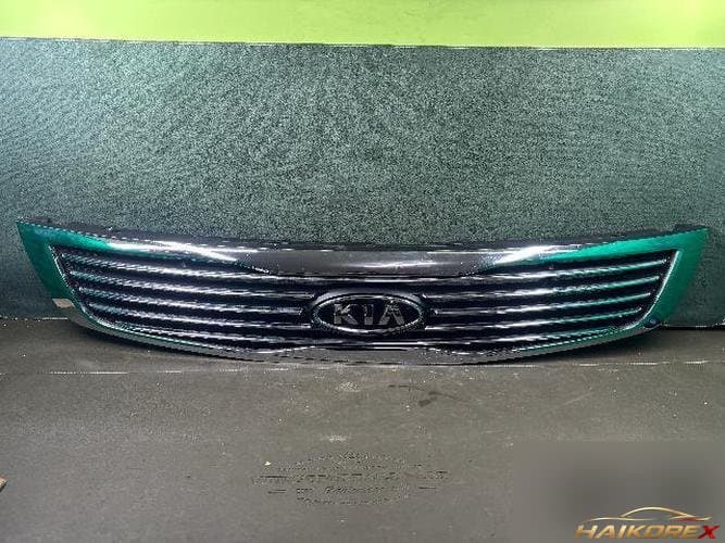 Kia Roche 2009 — решётка радиатора левая
