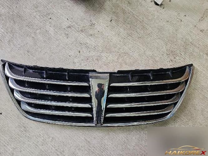 Hyundai Equus 2010 — решётка радиатора 1