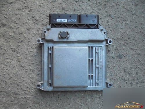 ECU электронный блок управления 391242B000
