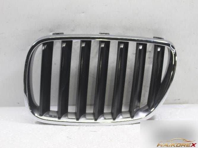 BMW X-Series 2008 — решётка радиатора 51113420087