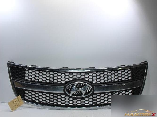 Hyundai Grand Starex 2008 — решетка радиатора 865604H000