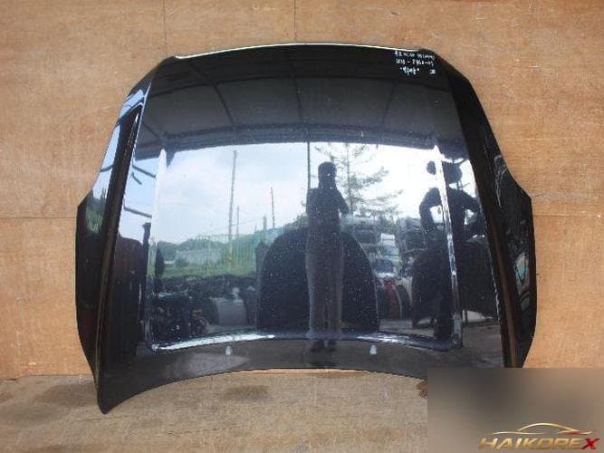 Renault SM7 2012 — капот
