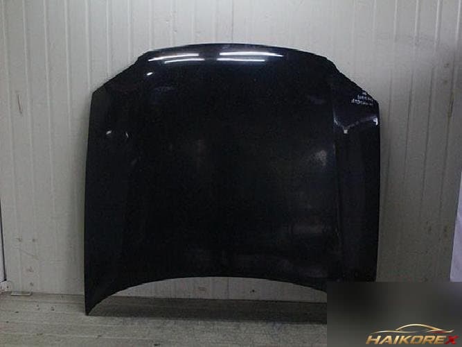 Volkswagen Passat 2005 — капот