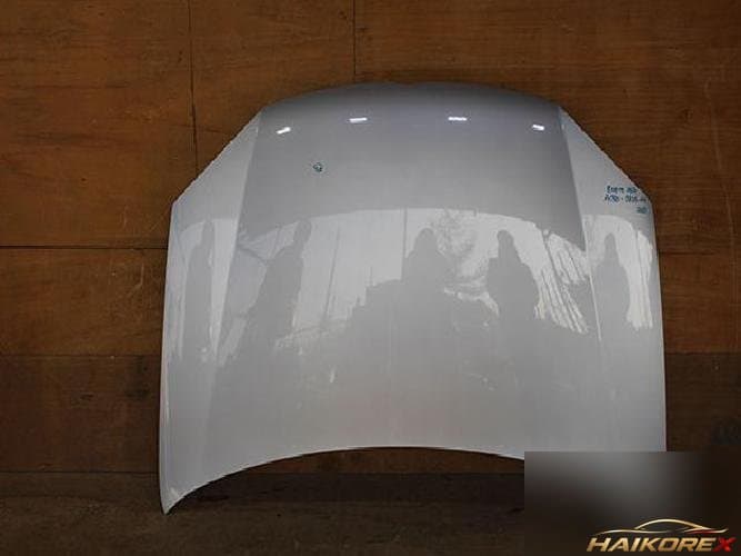 Volkswagen Jetta 2010 — капот