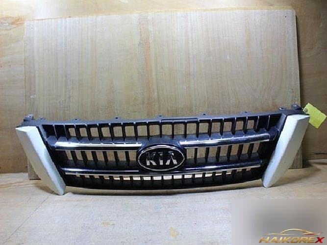 Kia Carnival 2006 — решётка радиатора 863504D500