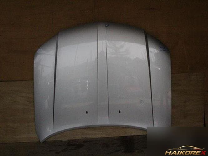 Ford MKZ 2009 — капот