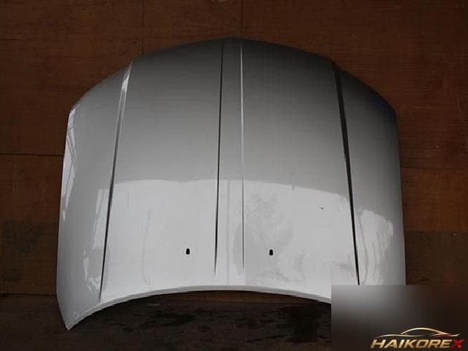 Ford MKZ 2008 — капот