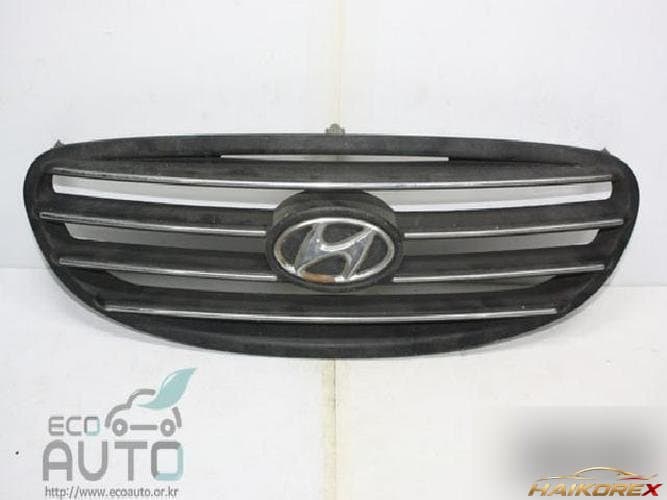 Hyundai Sonata 1997 — решётка радиатора A134-25