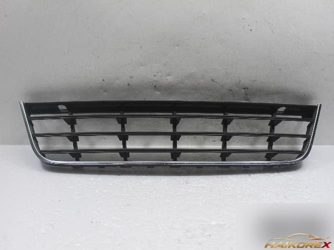 Volkswagen Passat 2010 — решетка радиатора нижняя