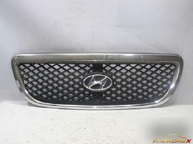 Hyundai Terracan 2003 — решётка радиатора правая
