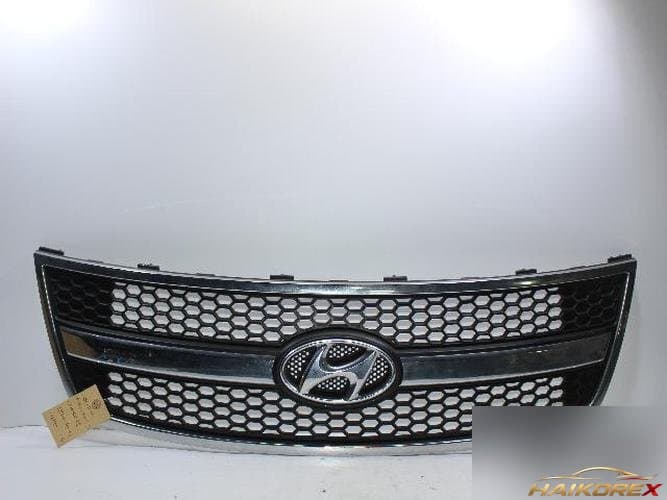 Hyundai Grand Starex 2008 — решётка радиатора 865604H000