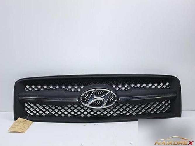 Hyundai Tucson 2005 — решётка радиатора 86351-2E000