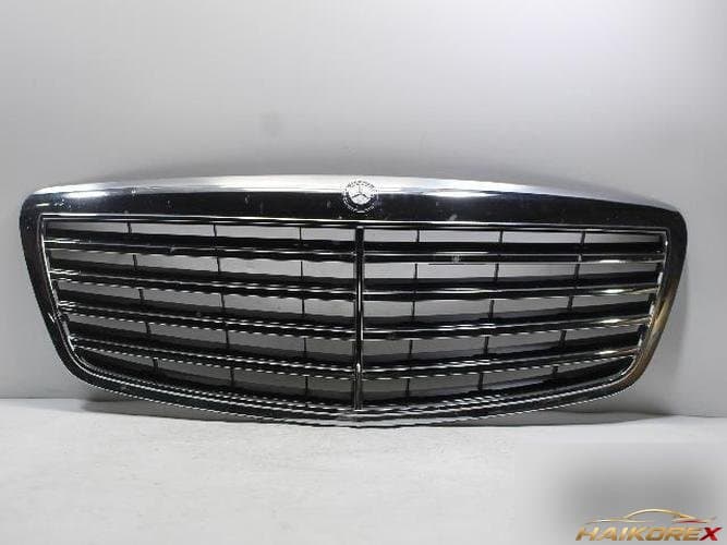Mercedes-Benz S-Class 2009 — решётка радиатора