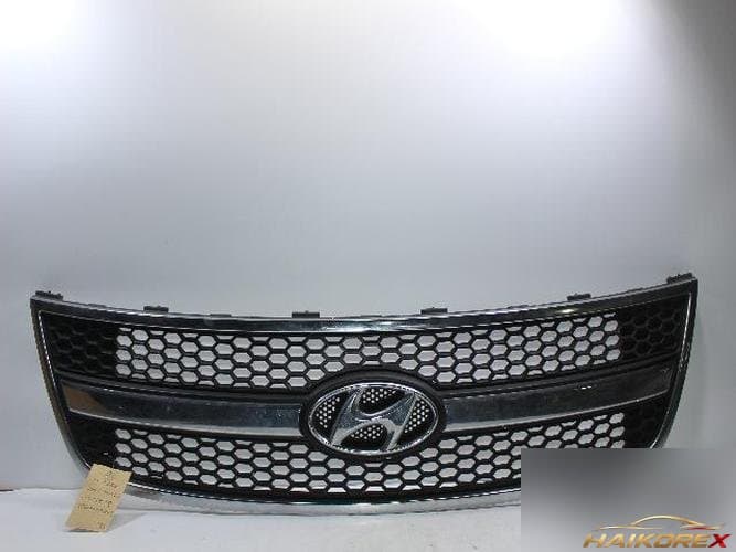 Hyundai Grand Starex 2008 — решётка радиатора 865604H000