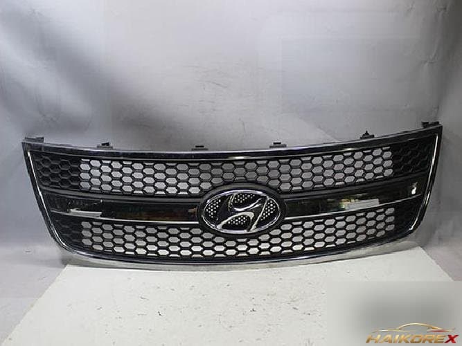 Hyundai Grandstarex 2009 — решётка радиатора 86560-4H000