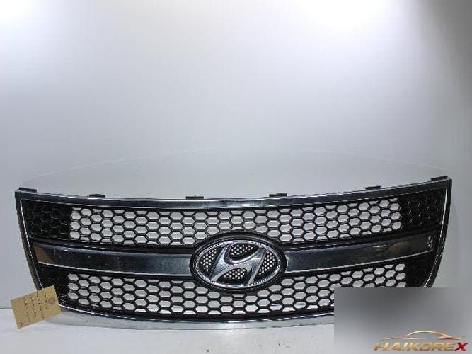 Hyundai Grandstarex 2008 — решётка радиатора 865604H000
