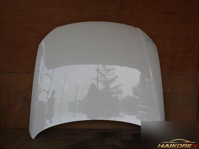 Volkswagen Passat 2011 — капот