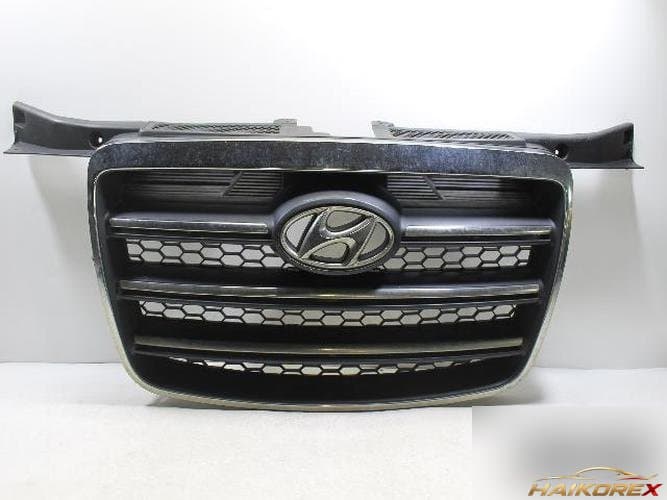 Hyundai Grand Starex 2007 — решётка радиатора 86565-4A600