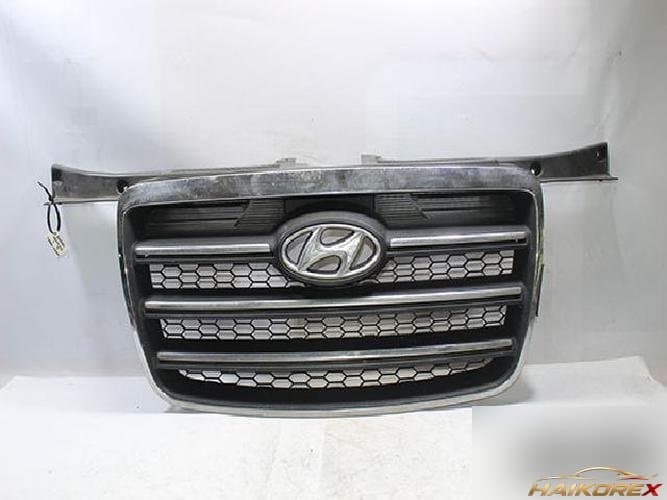 Hyundai Grand Starex 2007 — решётка радиатора 86565-4A600