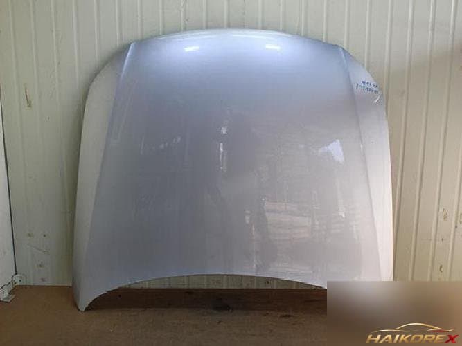 Volkswagen Passat 2009 — капот