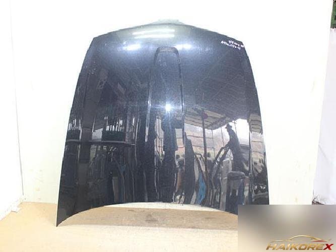 Ford MKS 2010 — капот