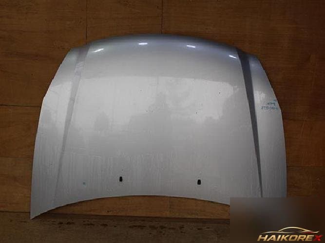 Kia Carnival 2008 — капот, второй вариант