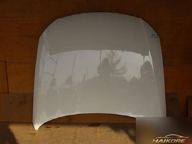 Volkswagen Passat 2008 — капот