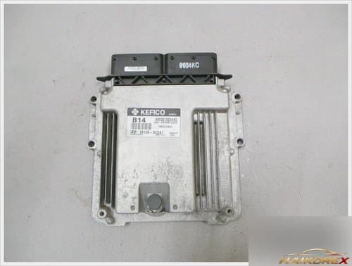 Блок управления двигателем ECU Grandeur HG 391093CGA1