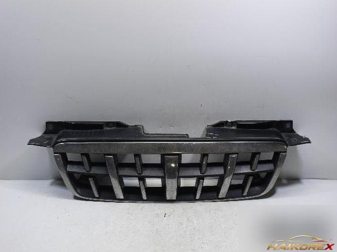 Kia Carens 2001 — радиаторная решетка