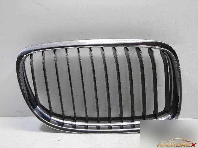 BMW 3 Series 2009 — решетка радиатора 51137201968