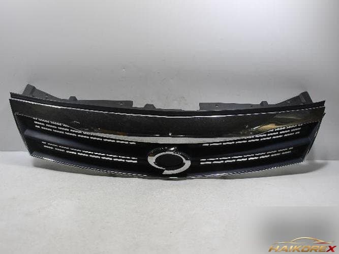 Renault SM5 2009 — решётка радиатора 8730152700