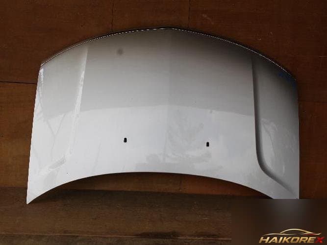 Ford MKX 2010 — капот