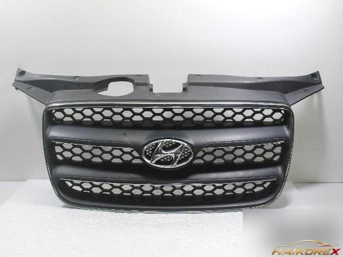Hyundai Santa Fe 2009 — решетка радиатора