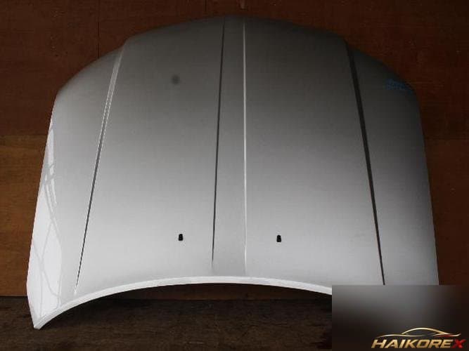 Ford MKZ 2009 — капот