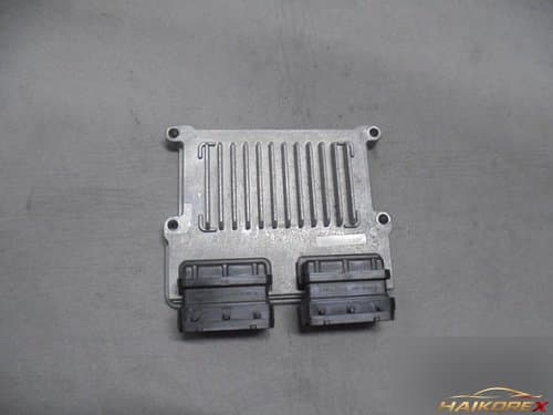 ECU 391113E438