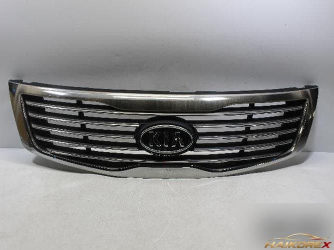 Kia Roche 2009 — решетка радиатора 863502G500