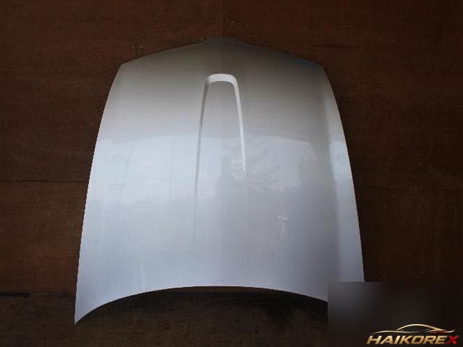 Ford MKS 2011 — капот
