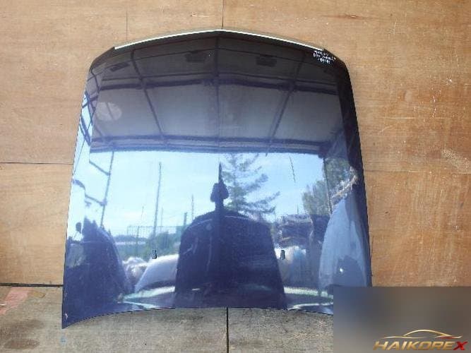 Cadillac STS 2006 — капот