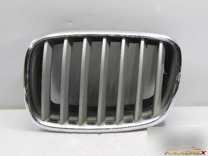 BMW X-series 2007 — решетка радиатора 51137171395