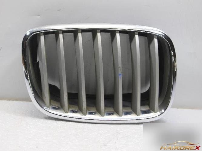 BMW X-серия 2007 — решетка радиатора 51137171396