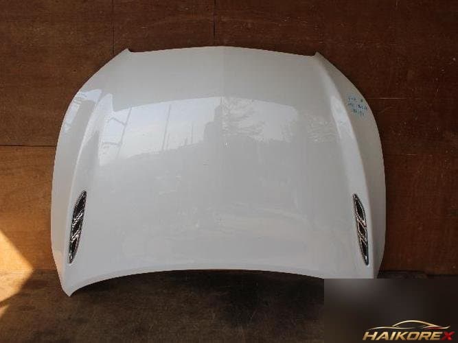 Chevrolet Alpeon 2011 — капот