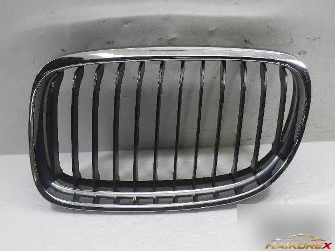 BMW 3 Series 2009 — решетка радиатора 51137201967