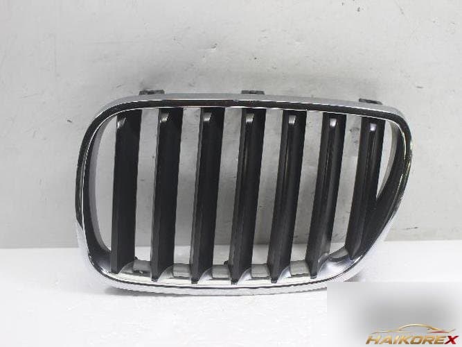 BMW X5 E83 2008 — решетка радиатора 51113420087