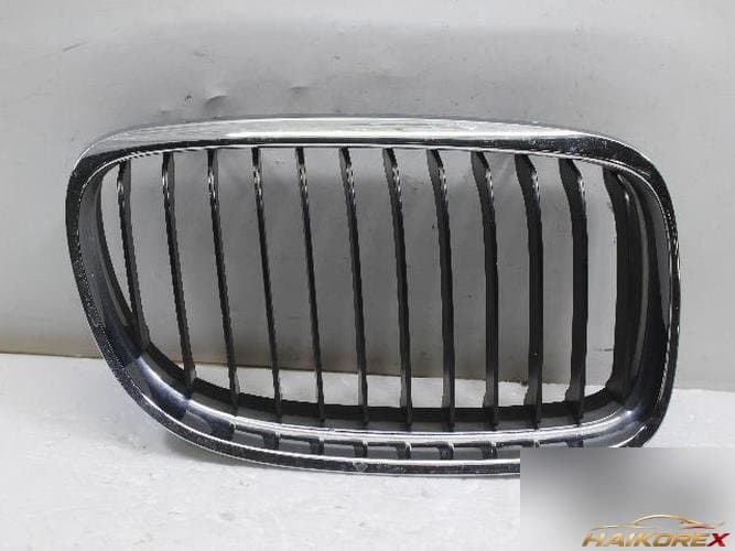 BMW 3 series 2010 — решетка радиатора 51137201968
