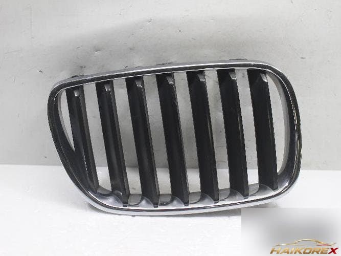 BMW X-Series 2008 — решётка радиатора 51113420088