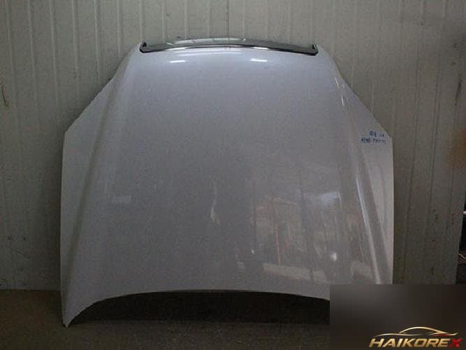 Daewoo Winstorm 2007 — капот №3