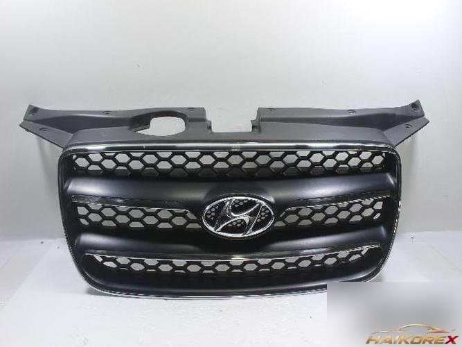 Hyundai Santa Fe 2008 — решетка радиатора