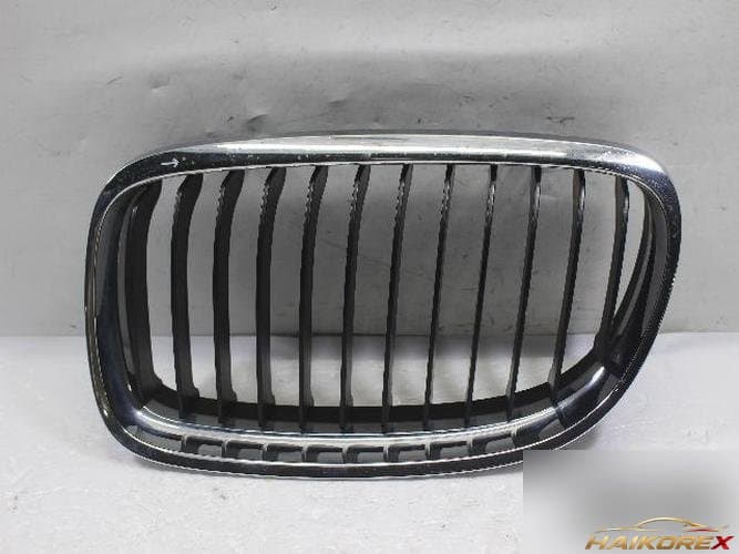 BMW 3 Series 2009 — решетка радиатора 51137201967