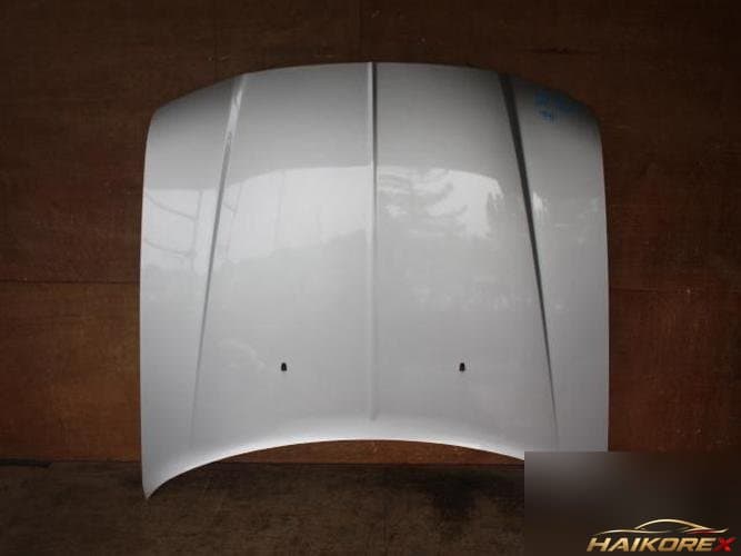 Chrysler 300 2009 — капот