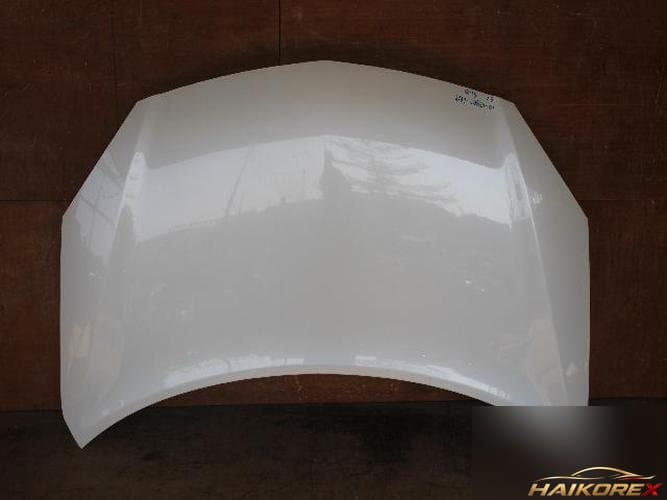 Renault QM5 2009 — капот